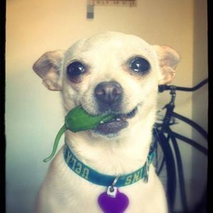 Meet your Posher, Emma